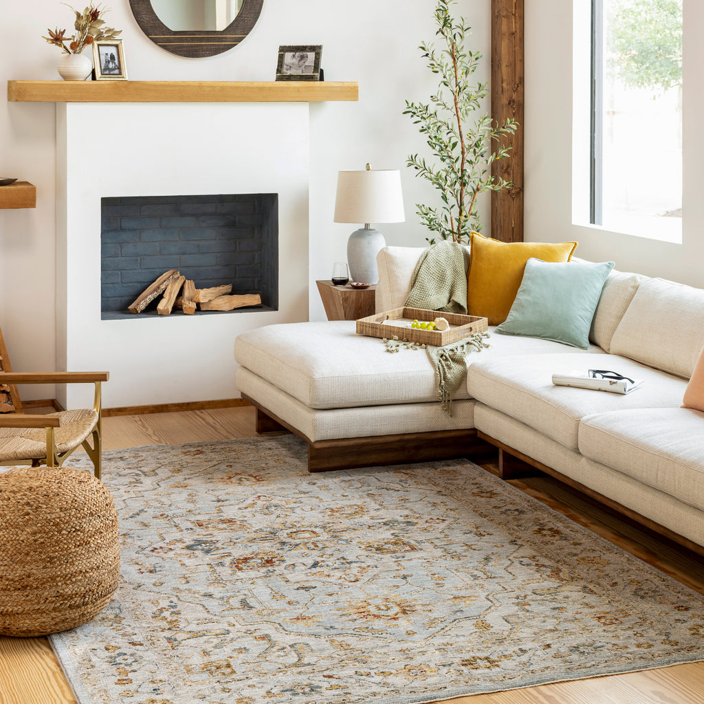 surya reina ren 2304 light gray rug