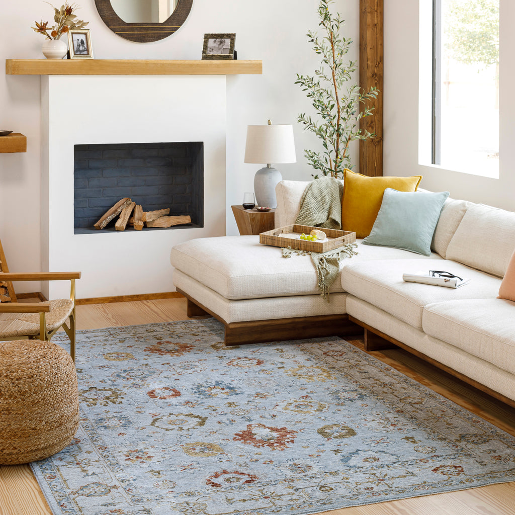 surya reina ren 2306 light gray rug