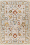 surya reina ren 2309 light gray rug