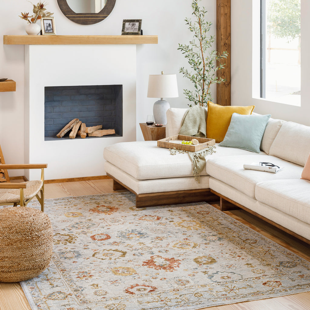 surya reina ren 2309 light gray rug