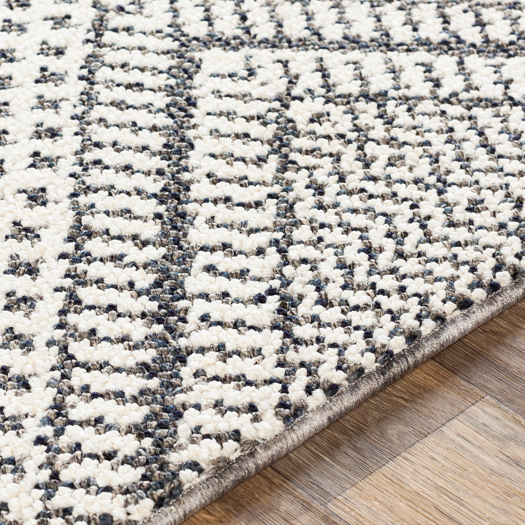 surya ariana ria 2302 charcoal rug
