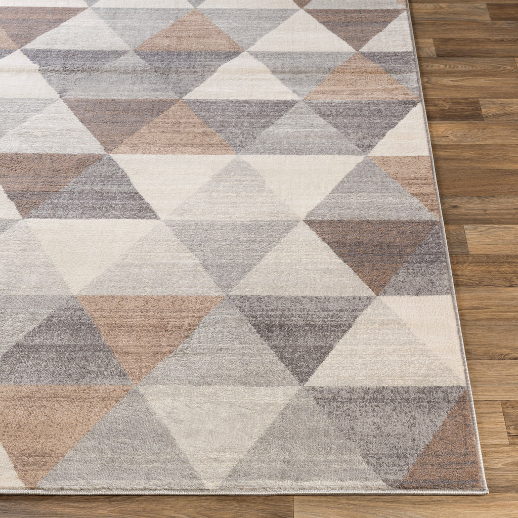 surya roma rom 2303 medium gray rug