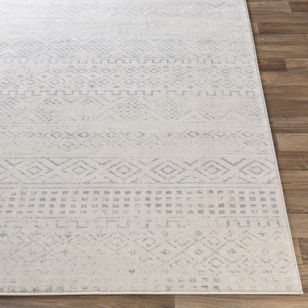 surya roma rom 2341 medium gray rug