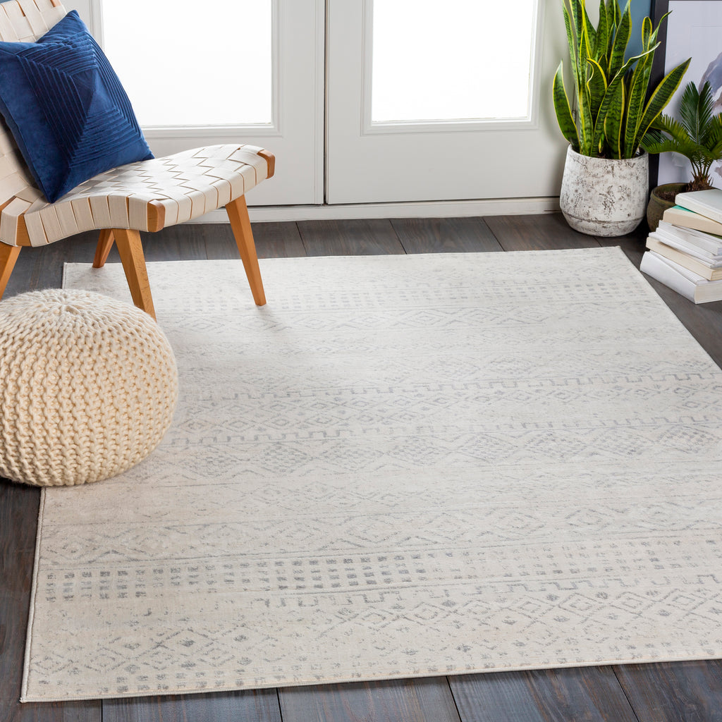 surya roma rom 2341 medium gray rug