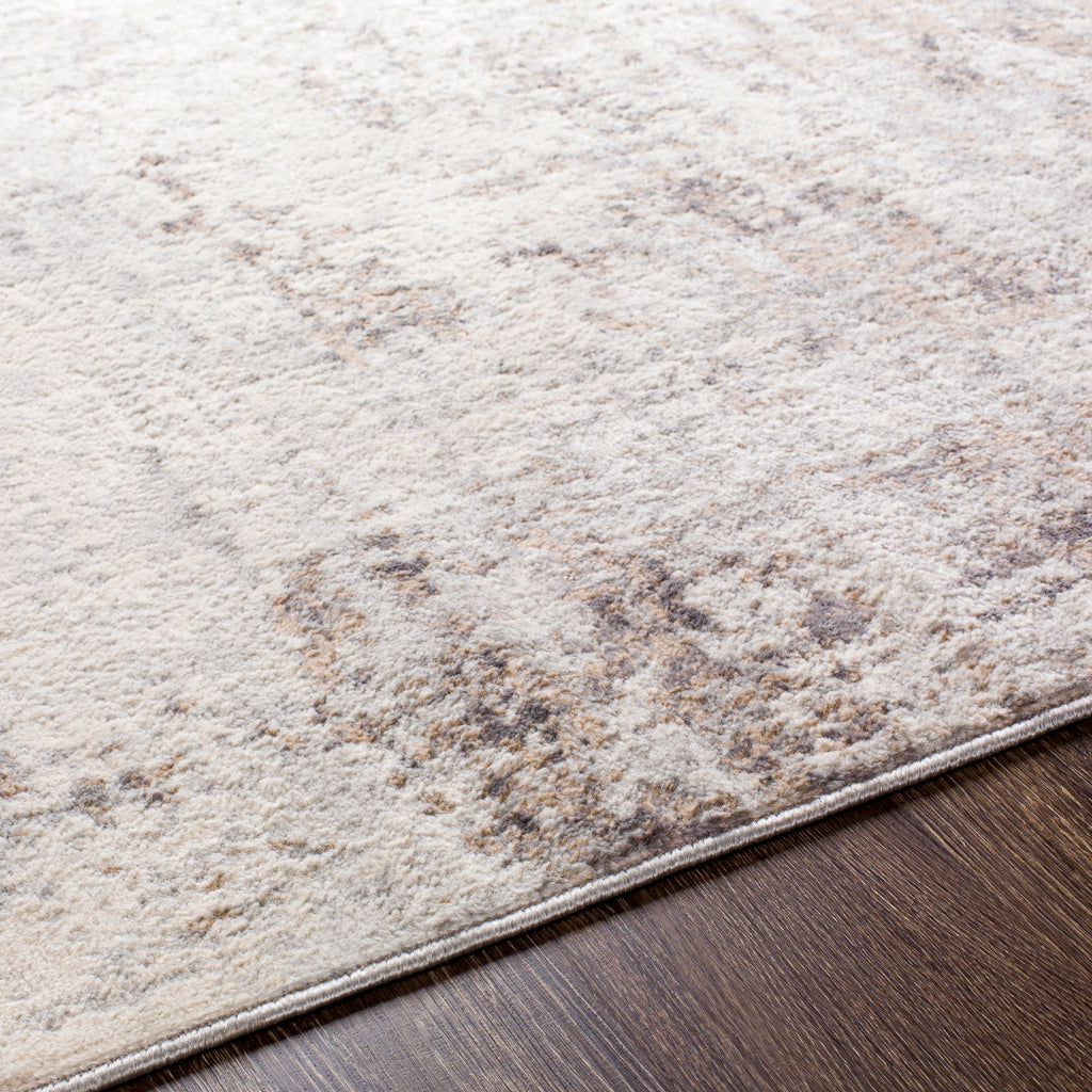 surya roma rom 2395 charcoal rug
