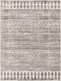 surya roma rom 2396 charcoal rug