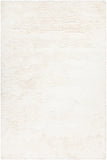 Chandra Roxy ROX-47601 White Rug