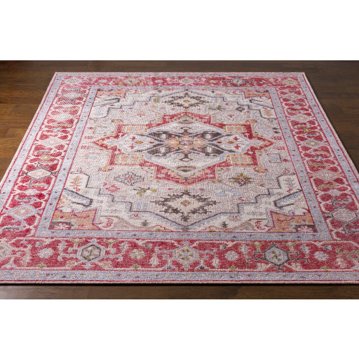 Surya Closeout Revere RVE-2306 Rust Rug