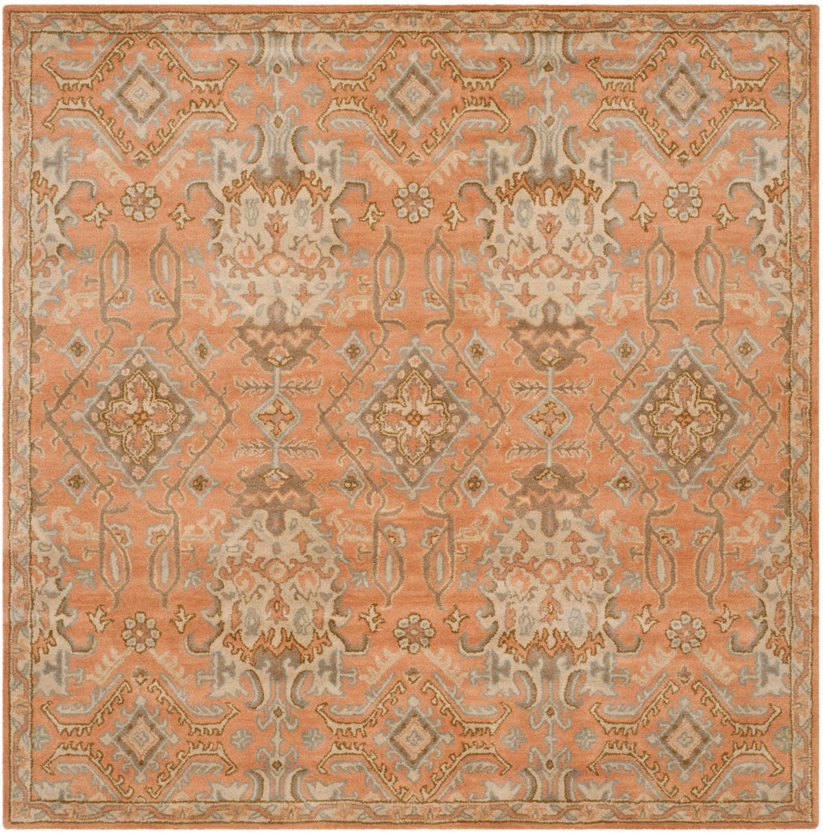 Safavieh Clearance Wyndham WYD203A Terracotta Rug