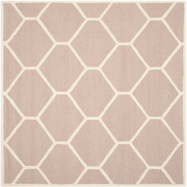 Safavieh Clearance Cambridge CAM144J Beige Rug