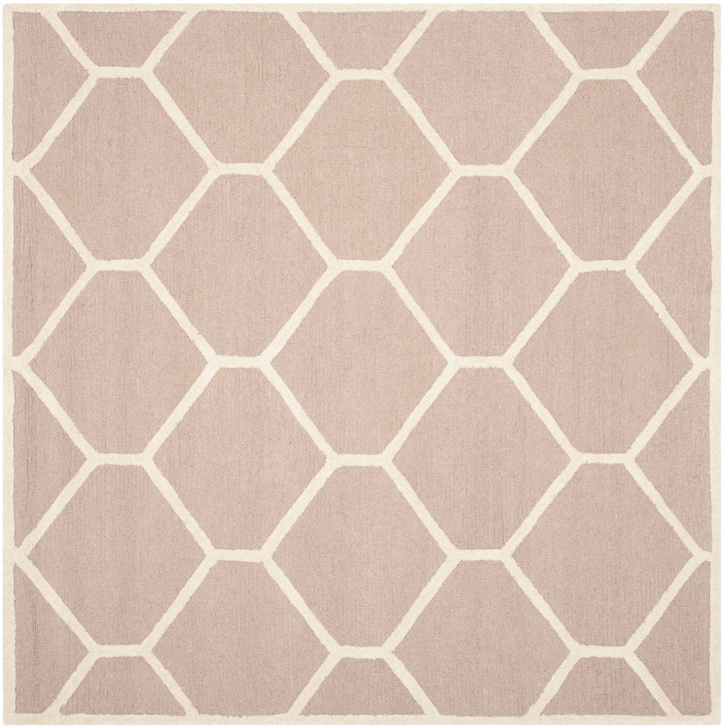 Safavieh Clearance Cambridge CAM144J Beige Rug