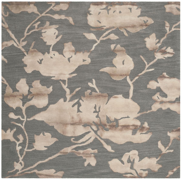 Safavieh Clearance Dip Dyes DDY716K Grey Rug