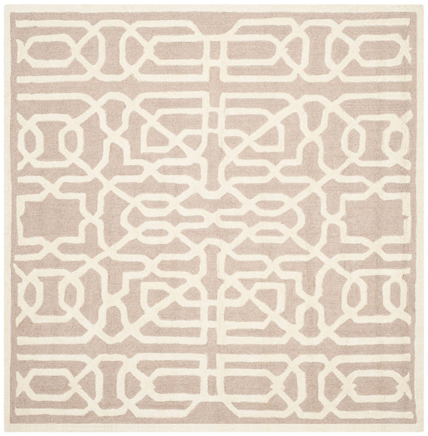 Safavieh Clearance Cambridge CAM570J Beige Rug
