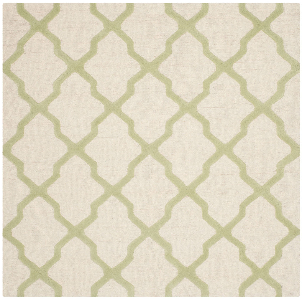 Safavieh Clearance Cambridge CAM121N Ivory Rug