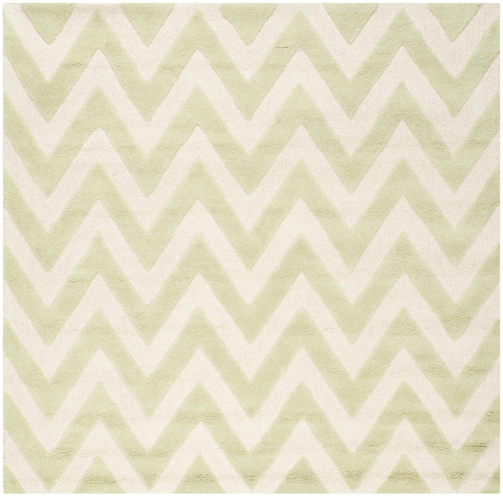 Safavieh Clearance Cambridge CAM139B Light Green Rug