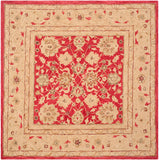 Safavieh Clearance Anatolia AN522A Red Rug