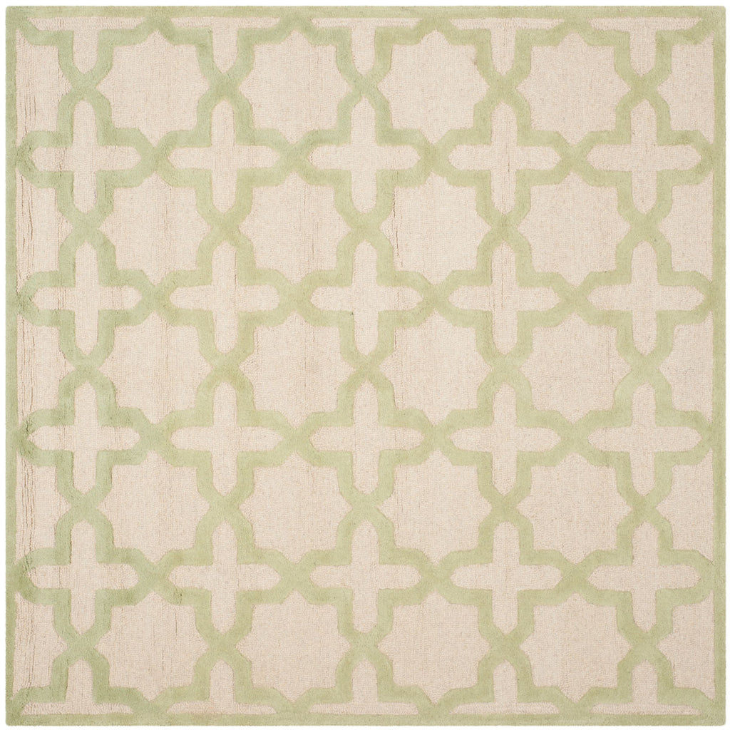 Safavieh Clearance Cambridge CAM125N Ivory Rug