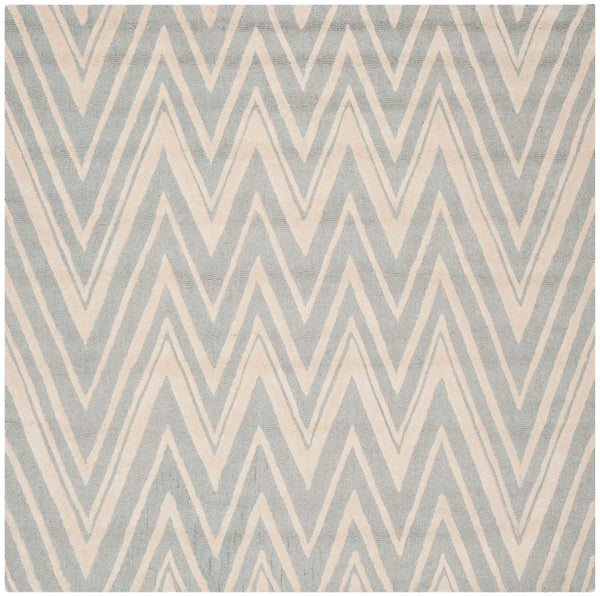 Safavieh Clearance Cambridge CAM711G Grey Rug
