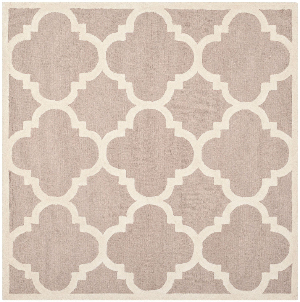 Safavieh Clearance Cambridge CAM140J Beige Rug