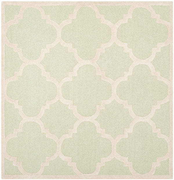 Safavieh Clearance Cambridge CAM140B Light Green Rug