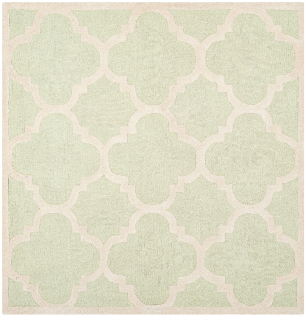 Safavieh Clearance Cambridge CAM140B Light Green Rug