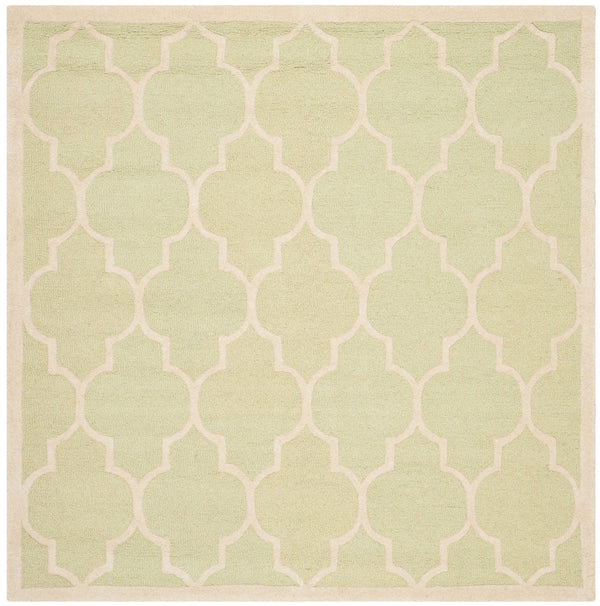Safavieh Clearance Cambridge CAM134B Light Green Rug