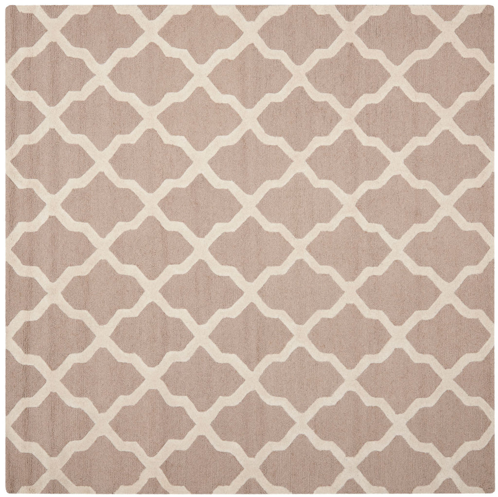 Safavieh Clearance Cambridge CAM121J Beige Rug