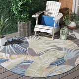 safavieh clearance sarasota sar106x light green rug
