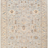 Surya rug co. | sabine pale blue rug | rugs done right
