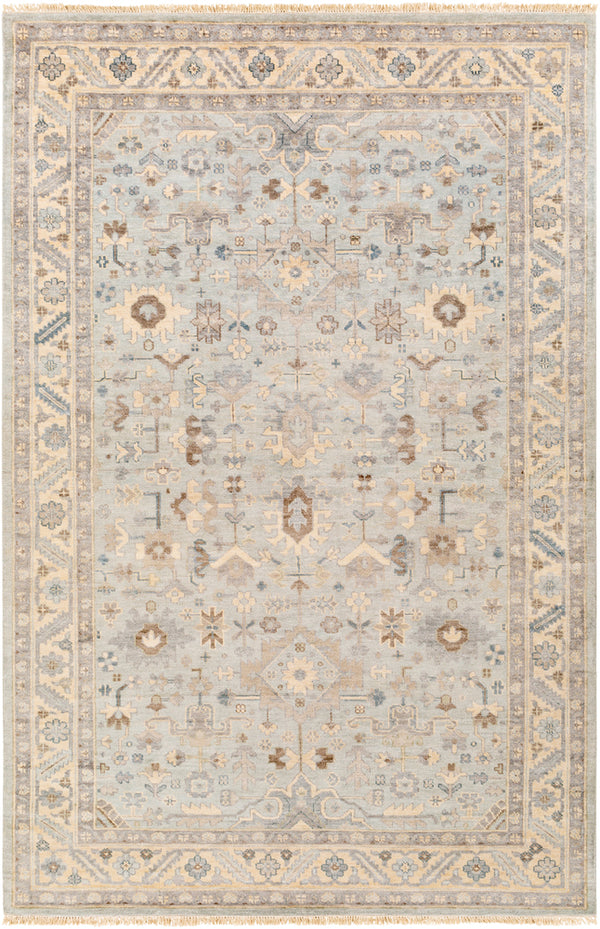 Surya rug co. | sabine pale blue rug | rugs done right