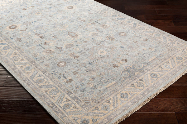 Surya rug co. | sabine pale blue rug | rugs done right