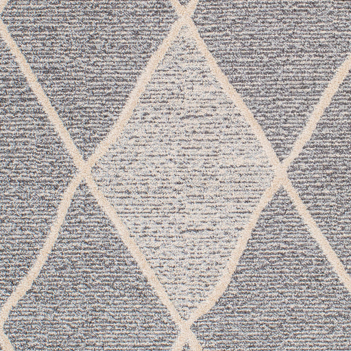 surya sofia sfa 2307 gray rug