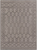 surya san diego sfg 2310 grey rug