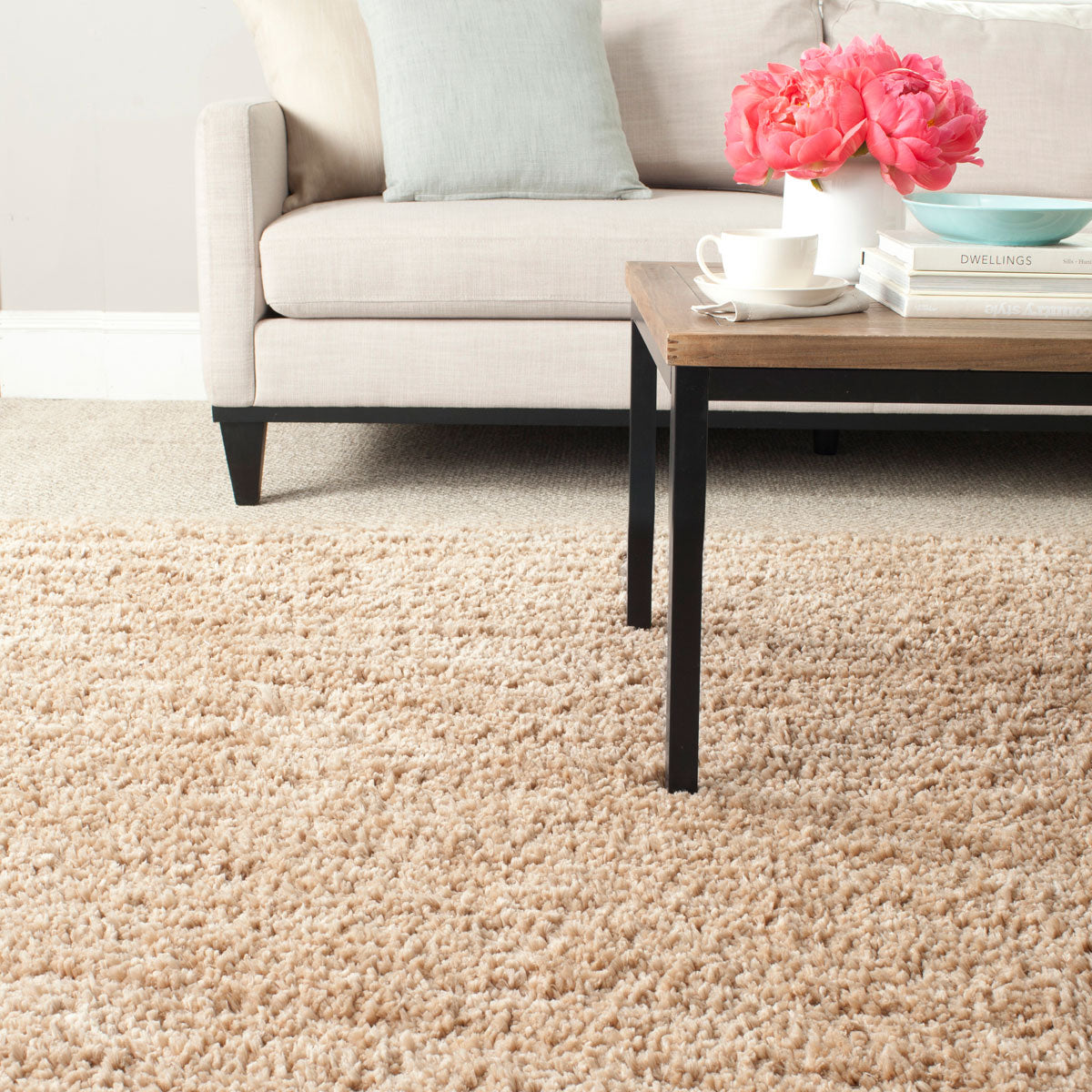 safavieh clearance shag sg267b beige rug