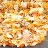 safavieh clearance rio shag sg951g gold rug