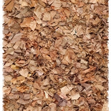safavieh clearance rio shag sg951n natural rug
