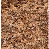 safavieh clearance rio shag sg951n natural rug