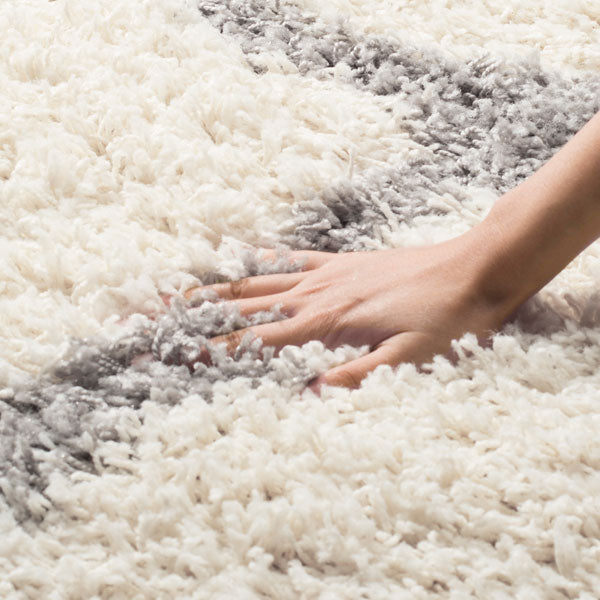 safavieh clearance sgd dallas shag sgd257f ivory rug