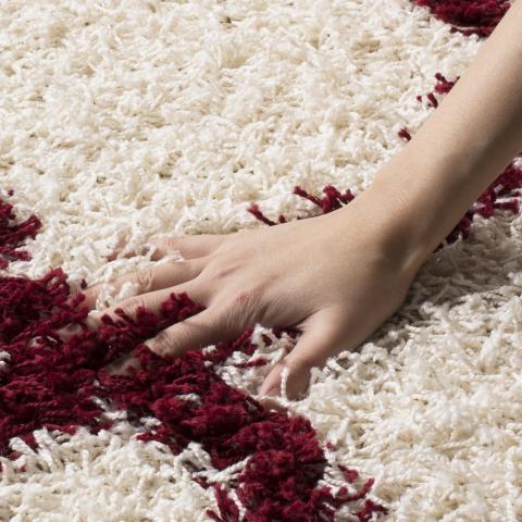 safavieh clearance sgd dallas shag sgd257r ivory rug