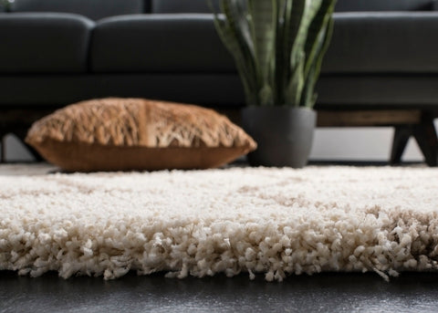 safavieh clearance hudson shag sgh280d ivory rug
