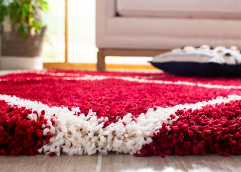 safavieh clearance hudson shag sgh281r red rug