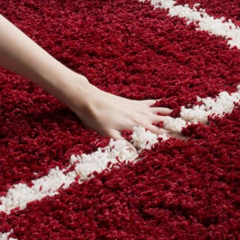 safavieh clearance hudson shag sgh281r red rug