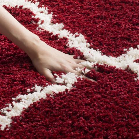 safavieh clearance hudson shag sgh283r red rug