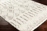 Surya Closeout Serengeti Shag SGT-2314 Taupe Rug
