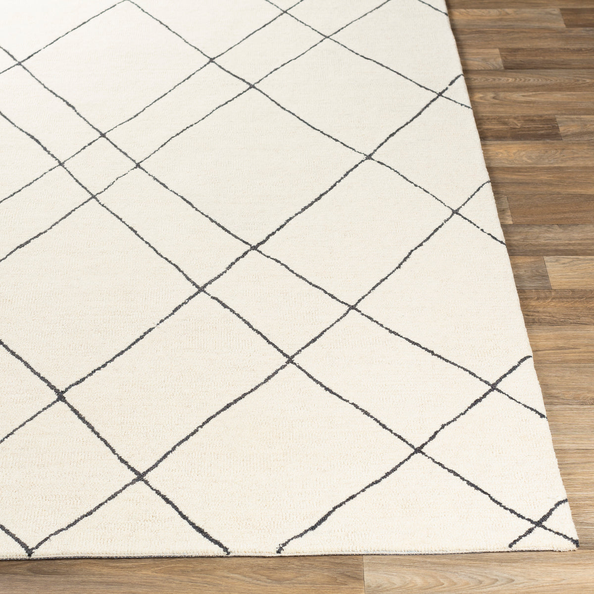 Surya Sinop Black Rug | Sinop Rugs | Rugs Done Right 