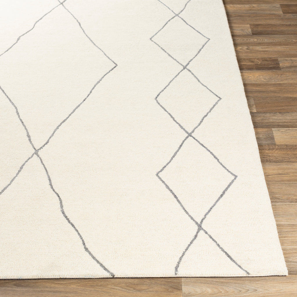 surya sinop snp 2306 charcoal rug