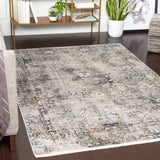 Surya Rug Co. Solar SOR-2308 Charcoal Rug
