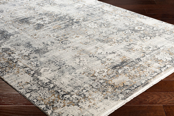 Surya Rug Co. Solar SOR-2308 Charcoal Rug