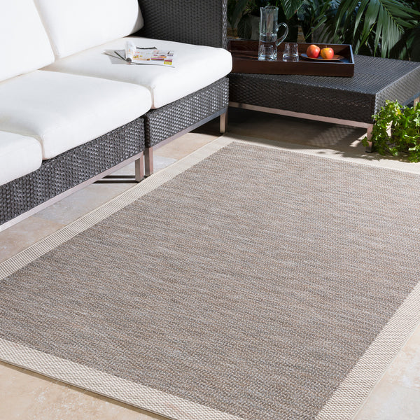 Transitional Surya Rug Co. Santa Cruz Taupe Rug | Indoor Rugs | Rugs Done Right 