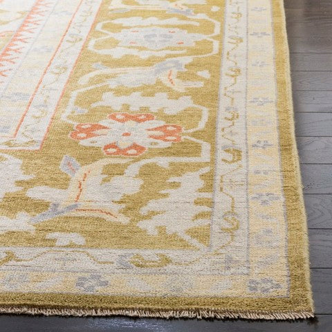 safavieh clearance sultanabad sul1077a green rug